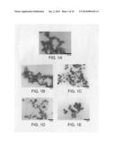 Method of preparing metal nanoparticles diagram and image