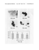 Method of preparing metal nanoparticles diagram and image