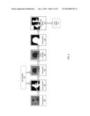 Temporal Matte Filter for Video Matting diagram and image