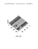 SUBSTRATE FOR SURFACE ENHANCED RAMAN SPECTROSCOPY ANALYSIS AND     MANUFACTURING METHOD OF THE SAME, BIOSENSOR USING THE SAME, AND     MICROFLUIDIC DEVICE USING THE SAME diagram and image