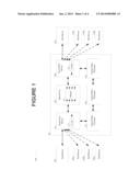 SYSTEM ARCHITECTURE FOR AN OPTICAL SWITCH USING WAVELENGTH, FIBER AND     POLARIZATON ADDRESSING diagram and image