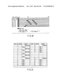 INFORMATION STORAGE MEDIUM, REPRODUCING METHOD, AND RECORDING METHOD diagram and image