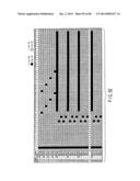 INFORMATION STORAGE MEDIUM, REPRODUCING METHOD, AND RECORDING METHOD diagram and image