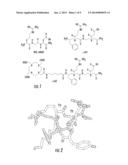 RGD MIMETIC y-AAPEPTIDES AND METHODS OF USE diagram and image