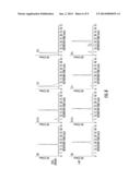 RGD MIMETIC y-AAPEPTIDES AND METHODS OF USE diagram and image