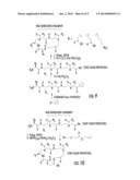 RGD MIMETIC y-AAPEPTIDES AND METHODS OF USE diagram and image