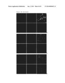 TARGETED DELIVERY TO HUMAN DISEASES AND DISORDERS diagram and image