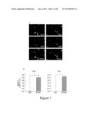 Methods, compositions and kits for modulating trans-differentiation of     muscle satellite cells diagram and image