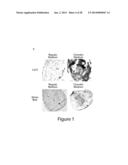 Methods, compositions and kits for modulating trans-differentiation of     muscle satellite cells diagram and image