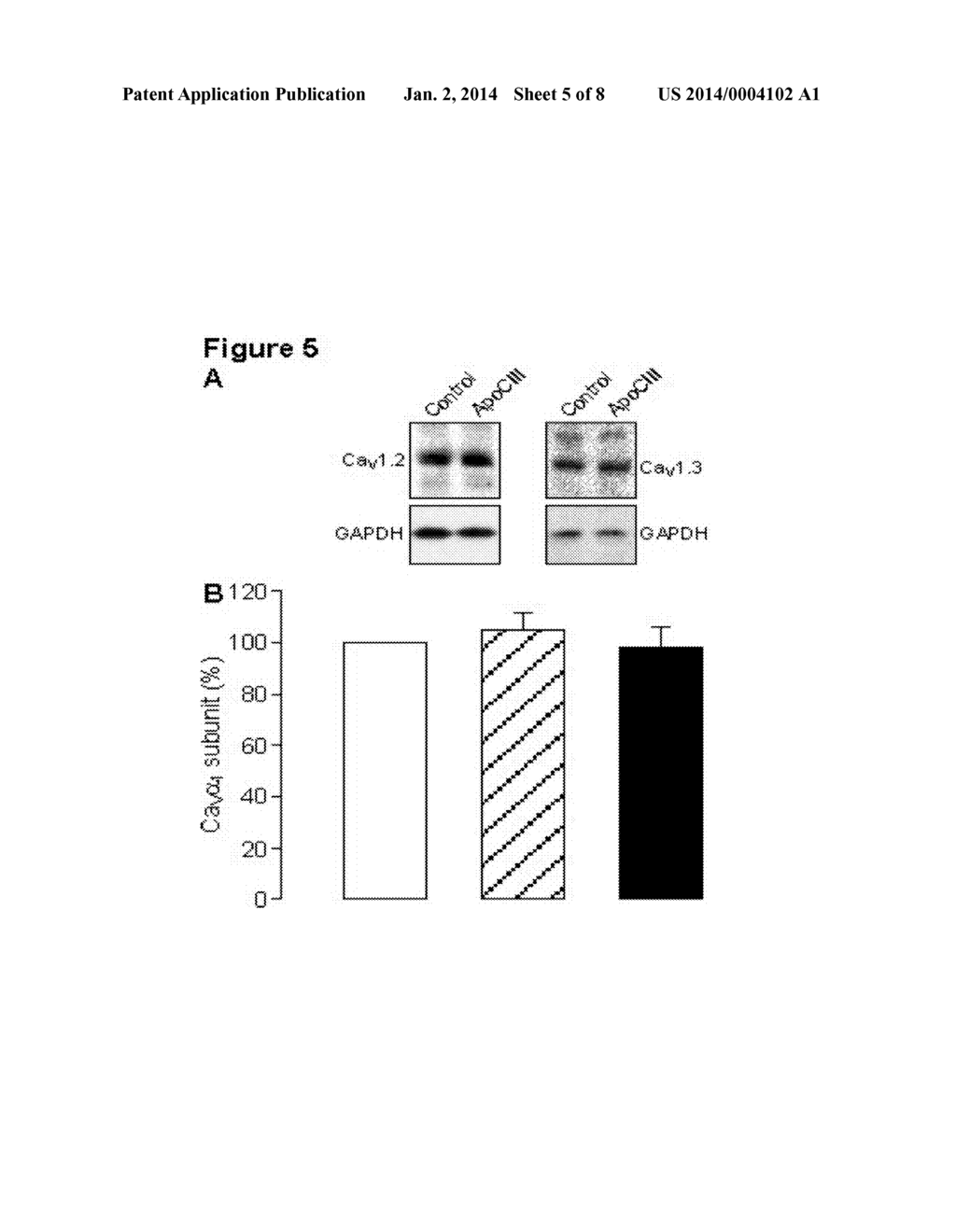 Methods for treating and/or limiting development of diabetes - diagram, schematic, and image 06