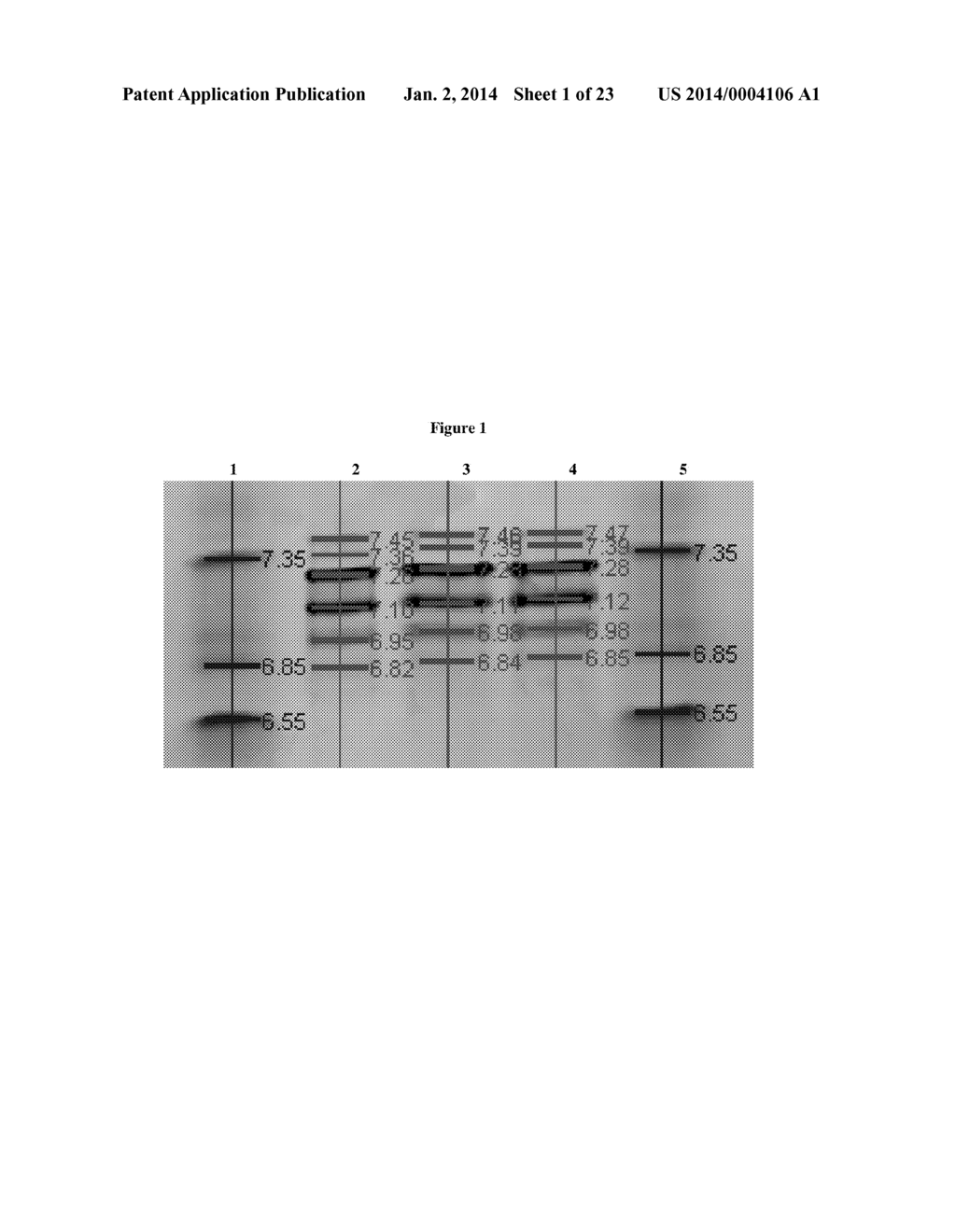 STABLE IGG4 BASED BINDING AGENT FORMULATIONS - diagram, schematic, and image 02