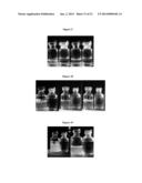 STABLE IGG4 BASED BINDING AGENT FORMULATIONS diagram and image