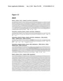 METHODS OF PREVENTING OR TREATING PAIN USING ANTI-NGF ANTIBODIES THAT     SELECTIVELY INHIBIT THE ASSOCIATION OF NGF WITH TRKA, WITHOUT AFFECTING     THE ASSOCIATION OF NGF WITH P75 diagram and image