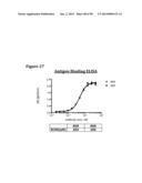 METHODS OF PREVENTING OR TREATING PAIN USING ANTI-NGF ANTIBODIES THAT     SELECTIVELY INHIBIT THE ASSOCIATION OF NGF WITH TRKA, WITHOUT AFFECTING     THE ASSOCIATION OF NGF WITH P75 diagram and image