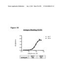 METHODS OF PREVENTING OR TREATING PAIN USING ANTI-NGF ANTIBODIES THAT     SELECTIVELY INHIBIT THE ASSOCIATION OF NGF WITH TRKA, WITHOUT AFFECTING     THE ASSOCIATION OF NGF WITH P75 diagram and image