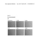 METHODS OF PREVENTING OR TREATING PAIN USING ANTI-NGF ANTIBODIES THAT     SELECTIVELY INHIBIT THE ASSOCIATION OF NGF WITH TRKA, WITHOUT AFFECTING     THE ASSOCIATION OF NGF WITH P75 diagram and image