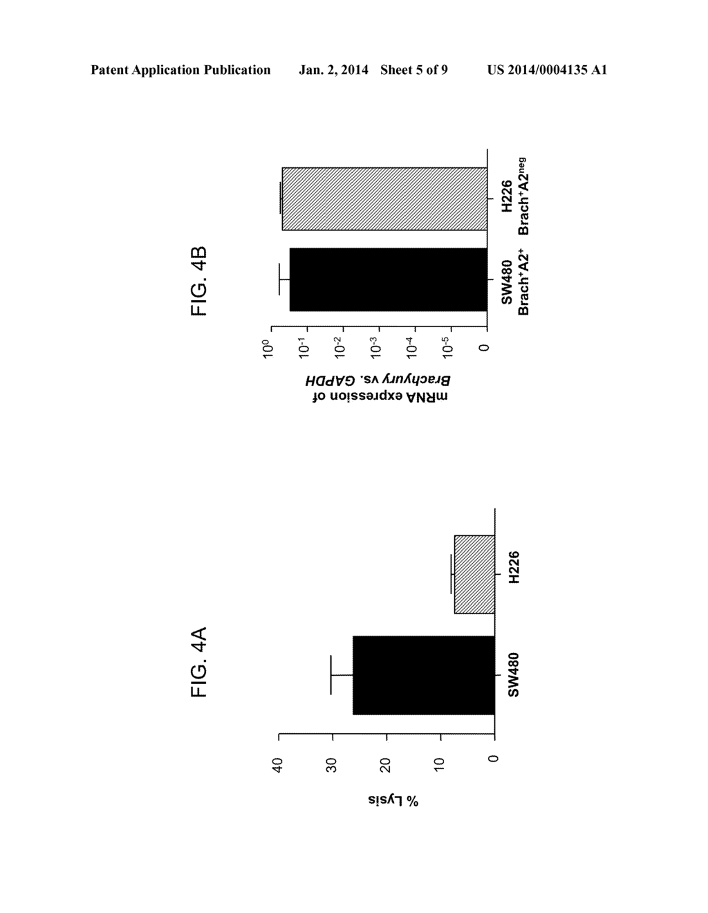 YEAST-BRACHYURY IMMUNOTHERAPEUTIC COMPOSITIONS - diagram, schematic, and image 06