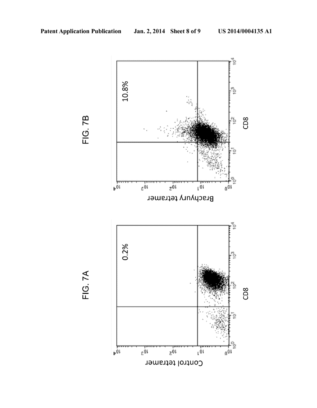 YEAST-BRACHYURY IMMUNOTHERAPEUTIC COMPOSITIONS - diagram, schematic, and image 09