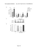 Methods and Compositions for Inhibiting Diseases of the Central Nervous     System diagram and image