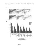 Methods and Compositions for Inhibiting Diseases of the Central Nervous     System diagram and image