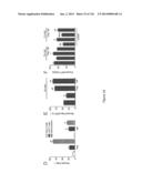 Methods and Compositions for Inhibiting Diseases of the Central Nervous     System diagram and image