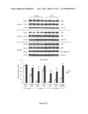 Methods and Compositions for Inhibiting Diseases of the Central Nervous     System diagram and image