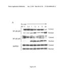 Methods and Compositions for Inhibiting Diseases of the Central Nervous     System diagram and image