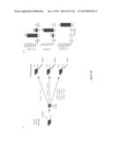 Methods and Compositions for Inhibiting Diseases of the Central Nervous     System diagram and image