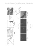 Methods and Compositions for Inhibiting Diseases of the Central Nervous     System diagram and image