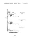 BIOLOGICAL INHIBITORS OF ROR1 CAPABLE OF INDUCING CELL DEATH diagram and image