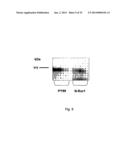 BIOLOGICAL INHIBITORS OF ROR1 CAPABLE OF INDUCING CELL DEATH diagram and image