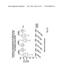 BIOLOGICAL INHIBITORS OF ROR1 CAPABLE OF INDUCING CELL DEATH diagram and image