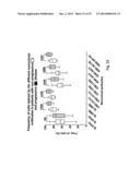 BIOLOGICAL INHIBITORS OF ROR1 CAPABLE OF INDUCING CELL DEATH diagram and image