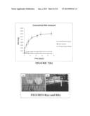 BONE SUBSTITUTE COMPOSITIONS, METHODS OF PREPARATION AND CLINICAL     APPLICATIONS diagram and image