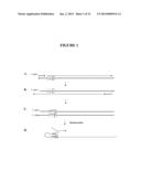 Snap-Back Primers And Detectable Hairpin Structures diagram and image