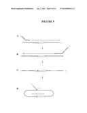 Snap-Back Primers And Detectable Hairpin Structures diagram and image