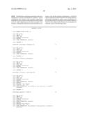 Snap-Back Primers And Detectable Hairpin Structures diagram and image