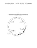 BIOLOGICAL METHODS FOR PREPARING ADIPIC ACID diagram and image