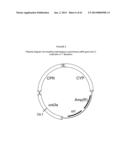 BIOLOGICAL METHODS FOR PREPARING ADIPIC ACID diagram and image