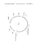 BIOLOGICAL METHODS FOR PREPARING ADIPIC ACID diagram and image