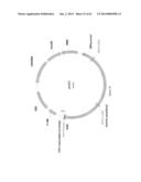 BIOLOGICAL METHODS FOR PREPARING ADIPIC ACID diagram and image