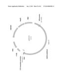 BIOLOGICAL METHODS FOR PREPARING ADIPIC ACID diagram and image