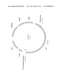 BIOLOGICAL METHODS FOR PREPARING ADIPIC ACID diagram and image