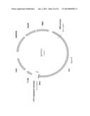 BIOLOGICAL METHODS FOR PREPARING ADIPIC ACID diagram and image