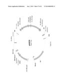 BIOLOGICAL METHODS FOR PREPARING ADIPIC ACID diagram and image