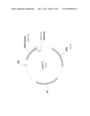 BIOLOGICAL METHODS FOR PREPARING ADIPIC ACID diagram and image