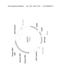 BIOLOGICAL METHODS FOR PREPARING ADIPIC ACID diagram and image