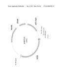 BIOLOGICAL METHODS FOR PREPARING ADIPIC ACID diagram and image