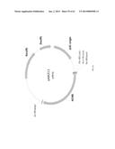 BIOLOGICAL METHODS FOR PREPARING ADIPIC ACID diagram and image