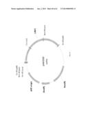 BIOLOGICAL METHODS FOR PREPARING ADIPIC ACID diagram and image